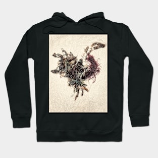 Seaweed Studies Hoodie